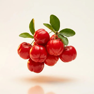 Acerola Cherry Extract