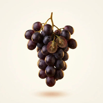 Grape Seed Extract