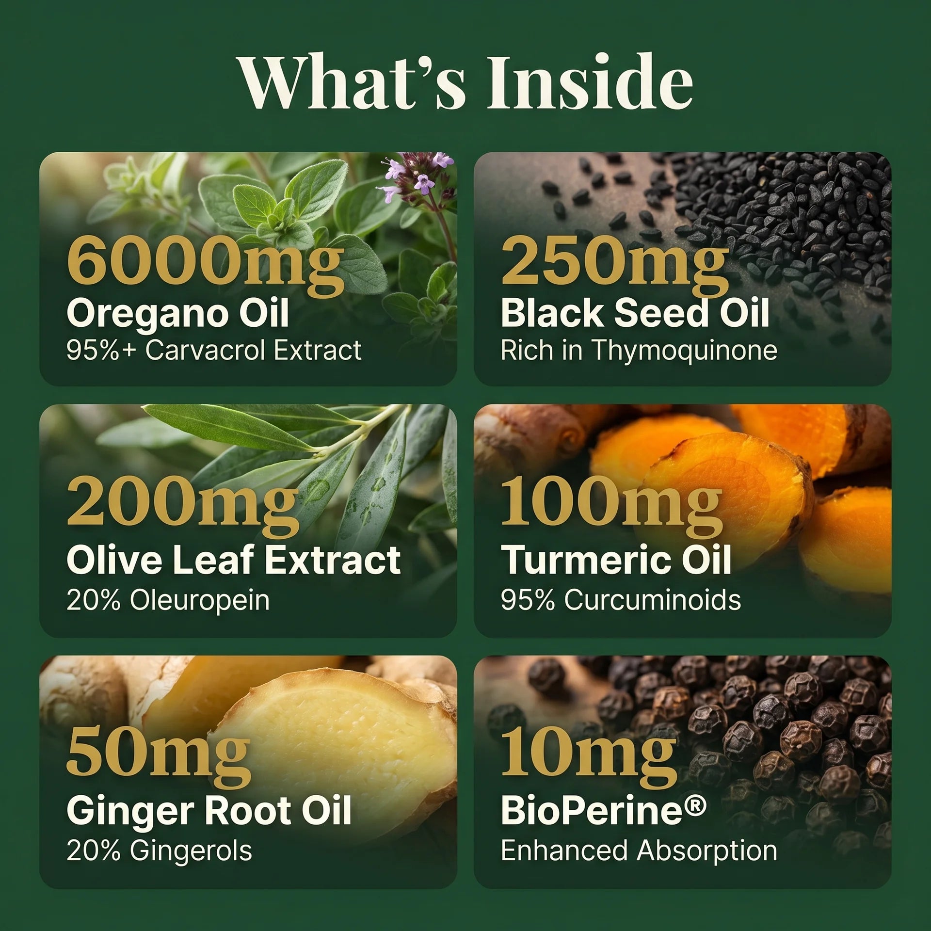 Oil of oregano 6000mg with 95% carvacrol, black seed oil 250mg, olive leaf extract 200mg, turmeric 100mg, ginger root and BioPerine.