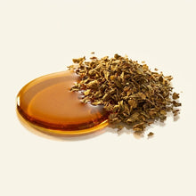 Oregano Oil Extract
