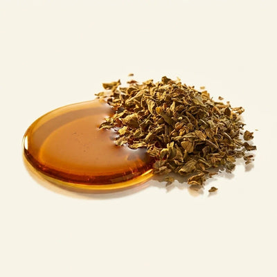 Oregano Oil Extract