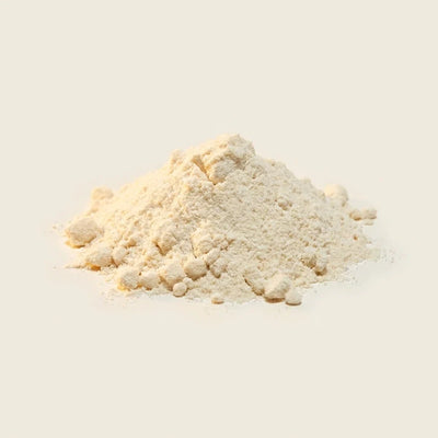 Bifidobacterium bifidum