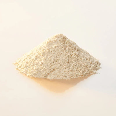 Bifidobacterium longum