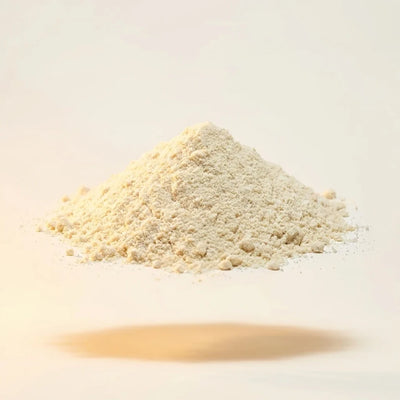 Lactobacillus acidophilus