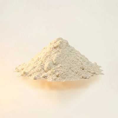 Lactobacillus casei