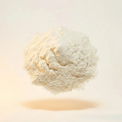 Lactobacillus plantarum