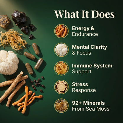 Shilajit sea moss supplement benefits: energy and endurance, mental clarity, immune support, stress response and 92+ minerals from sea moss.