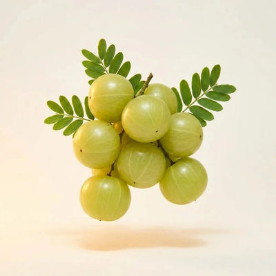 Amla Extract