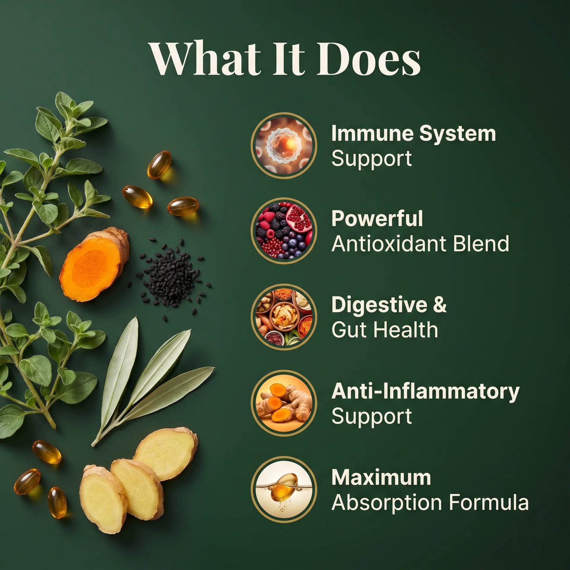 Wild oil of oregano 6000mg supplement benefits: immune system support, antioxidant blend, digestive gut health and anti-inflammatory formula.